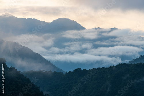 Cloud forest at sunrise, Mindo, Ecuador.