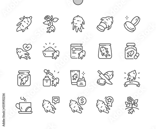 Ginseng. Cooking, recipes and price. Nature vegetable organic food nutrition. Food shop, supermarket. Menu for cafe. Pixel Perfect Vector Thin Line Icons. Simple Minimal Pictogram