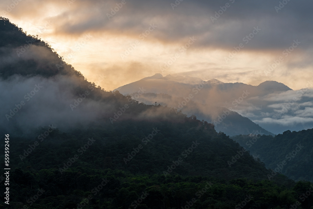 Mindo cloud forest at sunrise, Andes mountains, Ecuador.