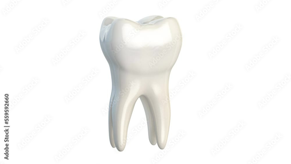 Tooth rotation with row isolated on white. Tooth protection and freshness dental concept. 3d video animation Tooth rotation with row isolated on white. Tooth protection and freshness dental concept. 3d video animation