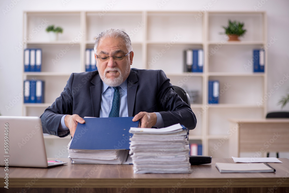 Old male employee working in the office Old male employee working in the office
