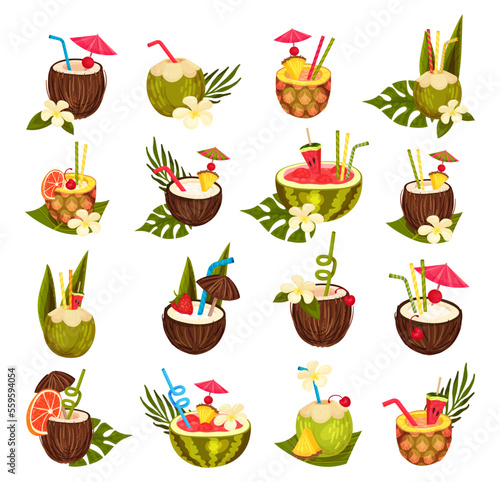 Set of tropical exotic cocktails with straw in coconut and watermelon fruit cartoon vector