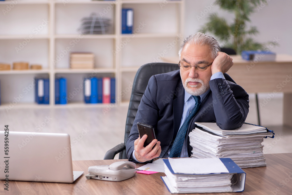 Old male employee working in the office Old male employee working in the office