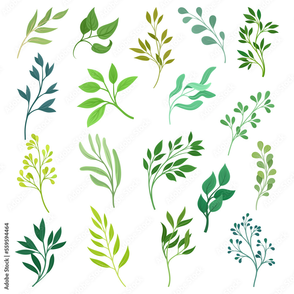 Set of green twigs. Sprigs with green leaves cartoon vector