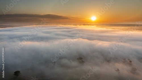 sunrise in the fog