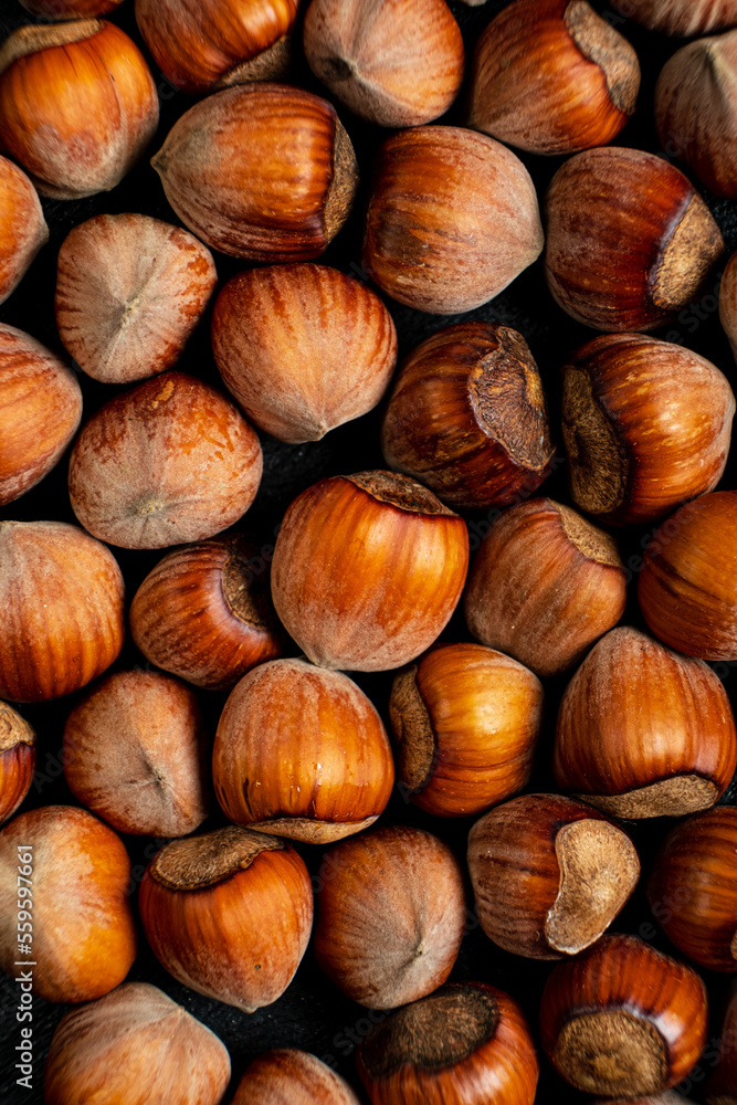 organic hazelnut on the dark background organic hazelnut on the dark background