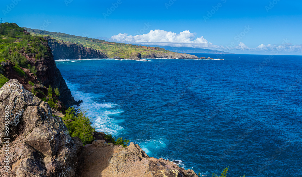 High Sea Cliffs Overlooking The Pacific Coast on The Ohai Trail  Maui, Hawaii, USA