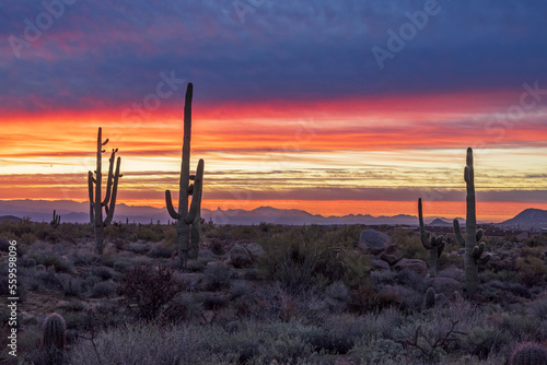 Panoramic Desert Sunrise Landscape View Scottsdale AZ