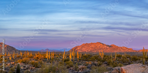 Panoramic Desert Sunset Landscape View Scottsdale AZ
