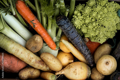 Varité de légumes d'hiver 