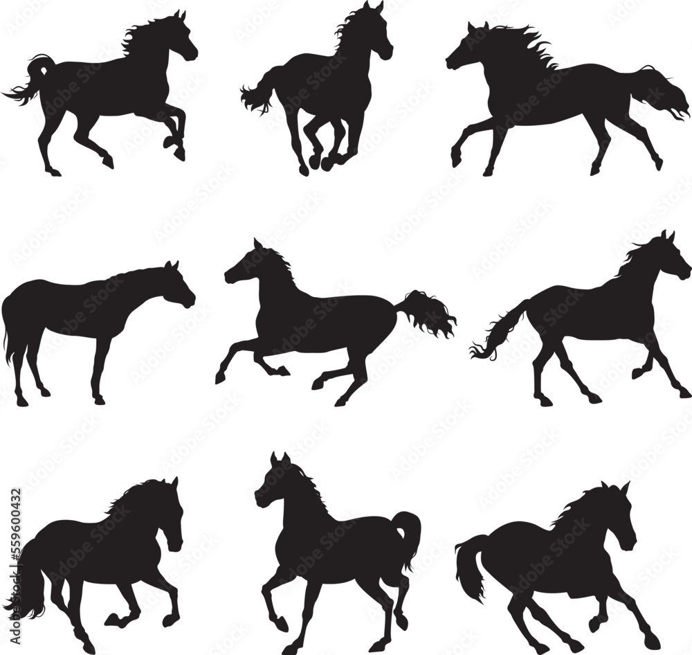 Set of Horse Silhouettes- Vector
