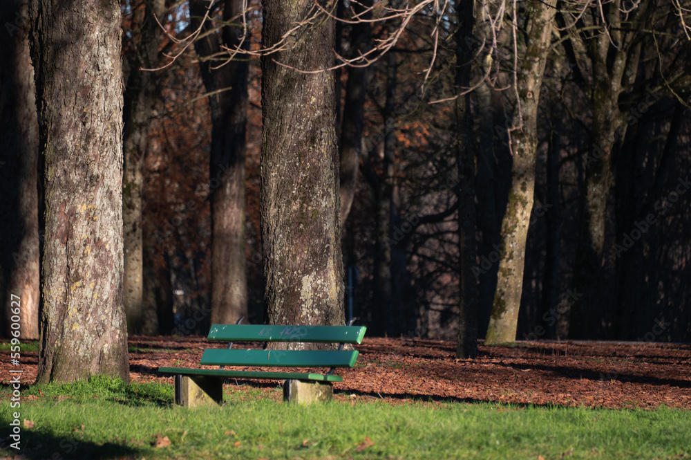 bench in the park