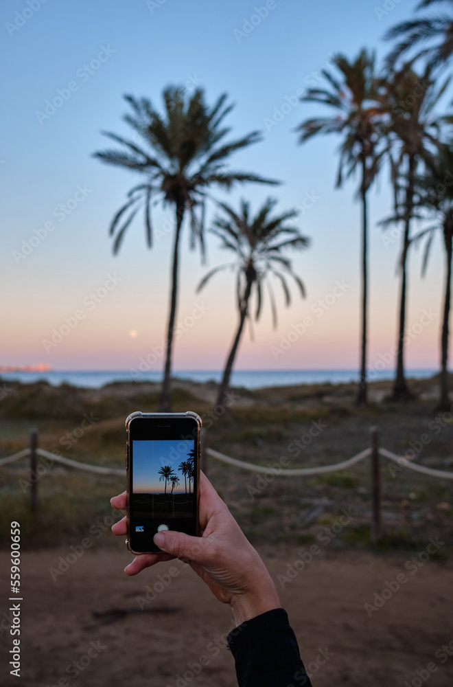 Hand holding phone take a photo beach evening sunset
Woman taking photos of a sunset wit a mobile phone