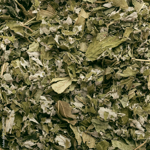 Dried green tea leaves. Background, texture. Close-up