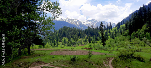 Beautiful summer season in Taobat, Kashmir, Pakistan with snowcapped mountains and lush green grassy fields photo