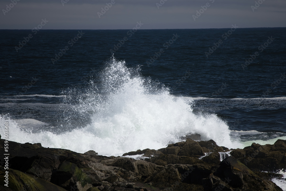 Ocean waves crashing against a rocky shore