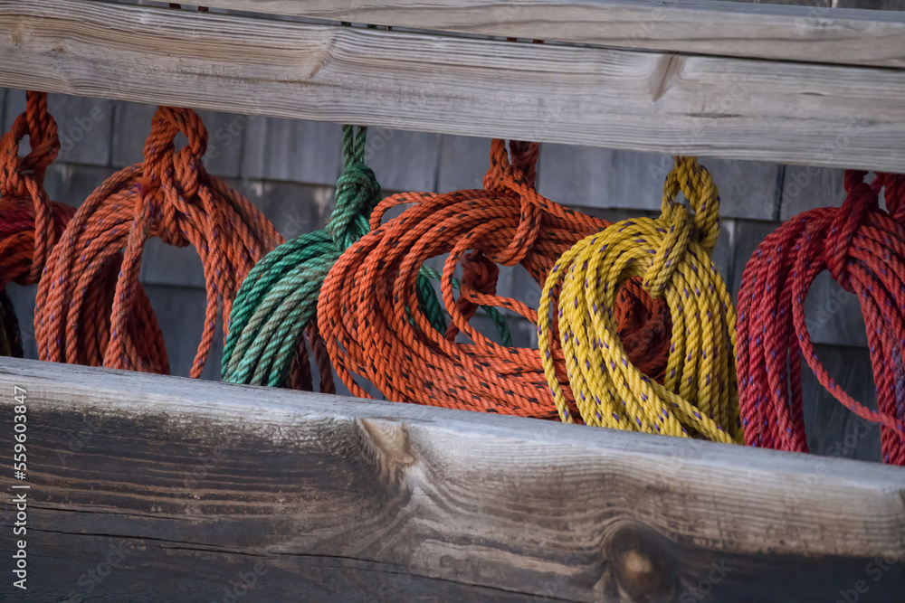 Coiled colored lines for lobster traps