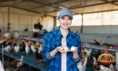 Adult experienced european woman picking eggs and puts them on trays in chicken farm.