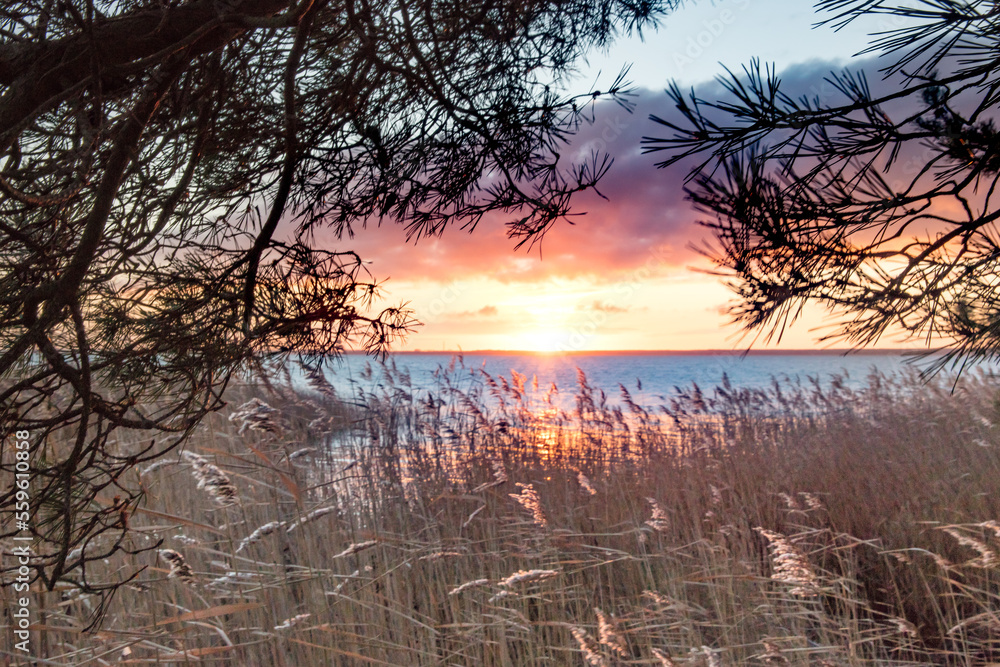 Fototapeta premium küste