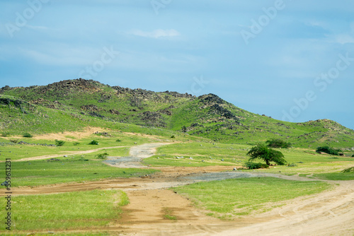 saudi arabian after rain season winter photo