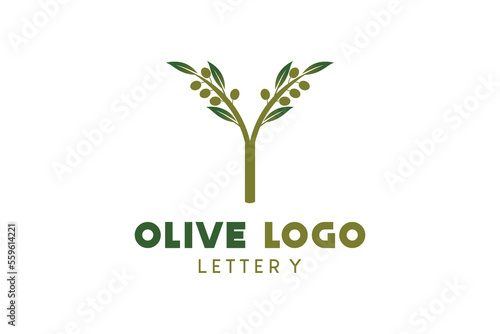 Olive logo design with letter y concept, natural green olive vector illustration