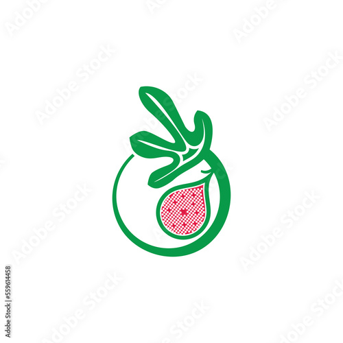 colorful fig fruit  leaf circle logo vector