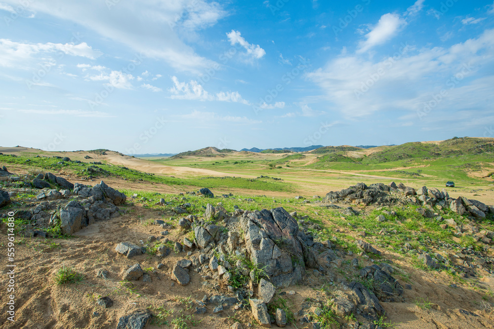 Fototapeta premium saudi arabian after rain season winter
