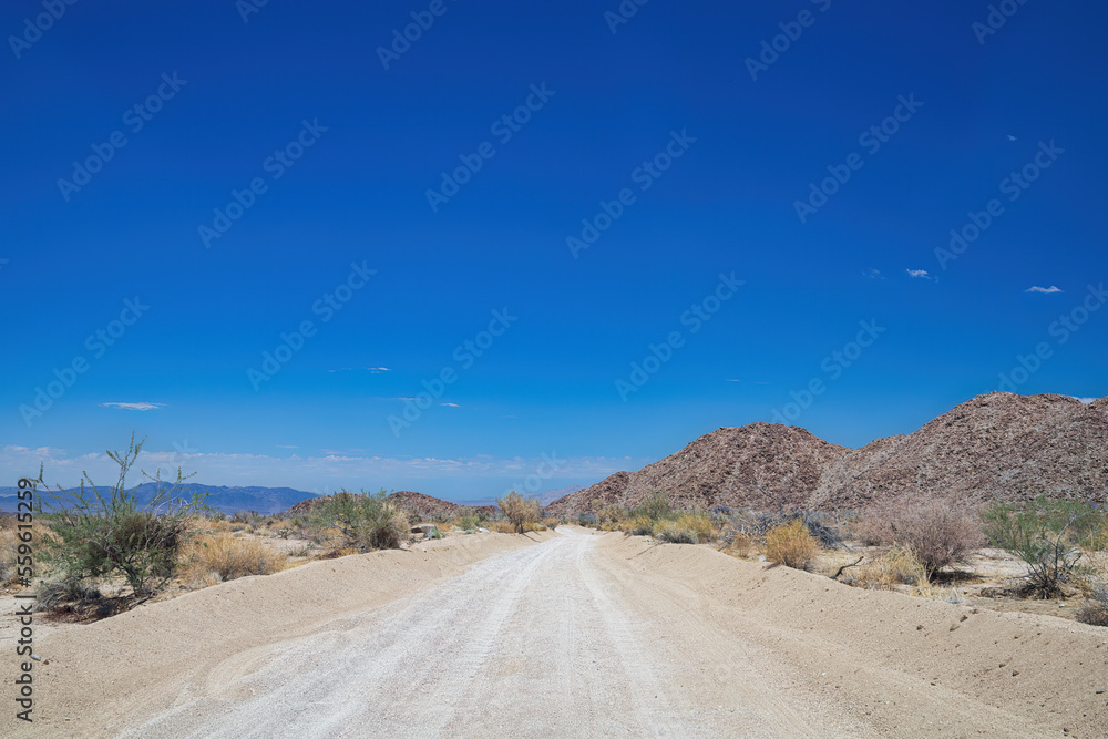 Gravel desert road in the Joshua Tree National Park