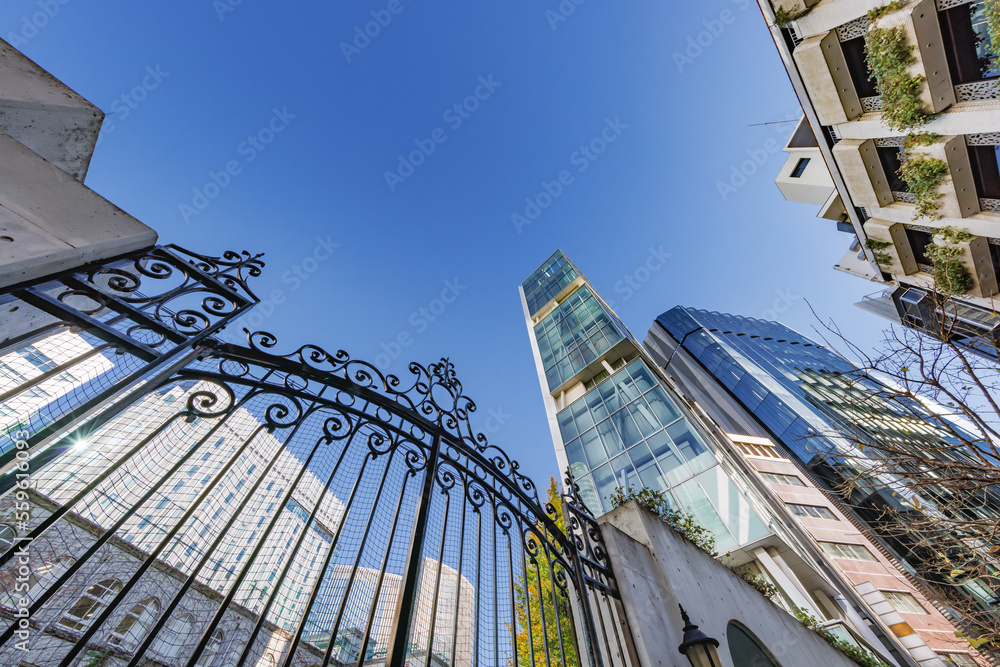 Fototapeta premium 太陽の光が綺麗な東京のビル群