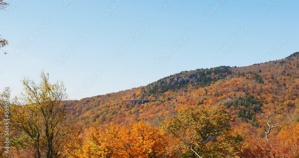 4K Autumn foliage in the Blue Ridge Mountains. Fall landscape with vivid, colorful trees. Blue Ridge Parkway in North Carolina, USA. Wide tracking shot. 4K Autumn foliage in the Blue Ridge Mountains. Fall landscape with vivid, colorful trees. Blue Ridge Parkway in North Carolina, USA. Wide tracking shot.