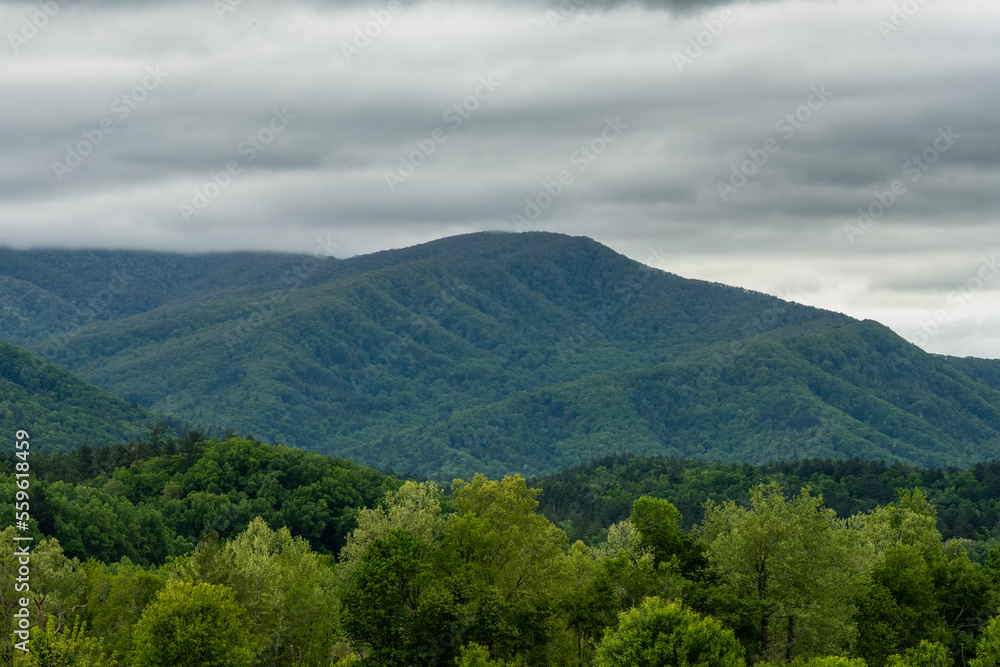 Spring Green Layers And Cloudy Sky In Cades Cove Spring Green Layers And Cloudy Sky In Cades Cove
