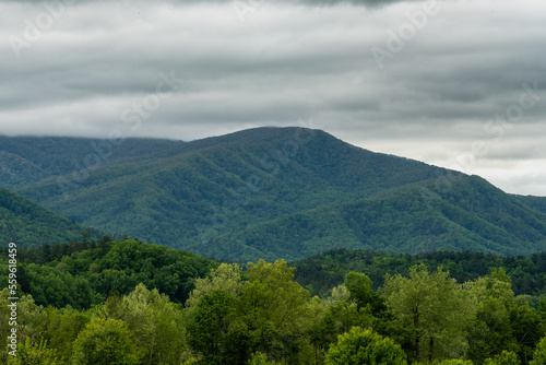 Spring Green Layers And Cloudy Sky In Cades Cove