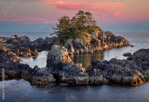 Vancouver Island Tofino and Ucluelet photo