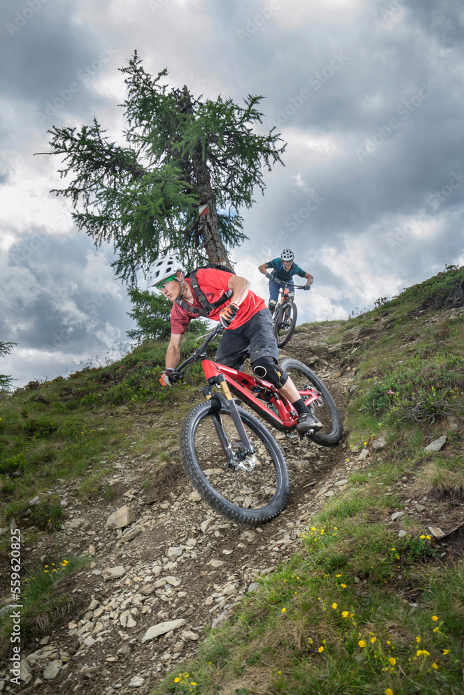 Mountain bikers riding down hill on forest path, Trentino-Alto Adige, Italy Mountain bikers riding down hill on forest path, Trentino-Alto Adige, Italy