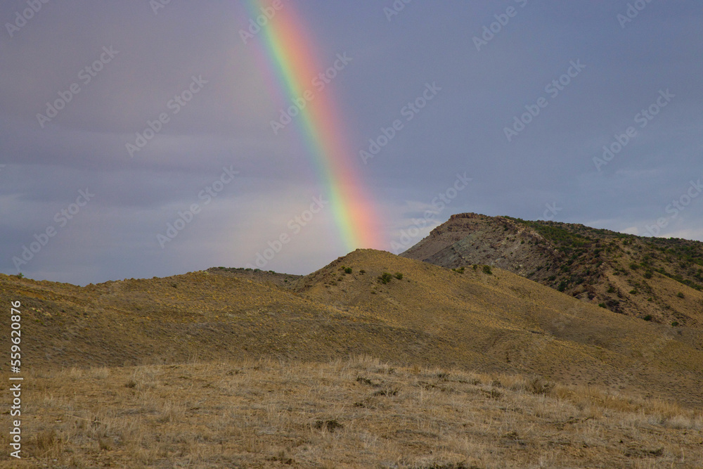 The Mountain Rainbow