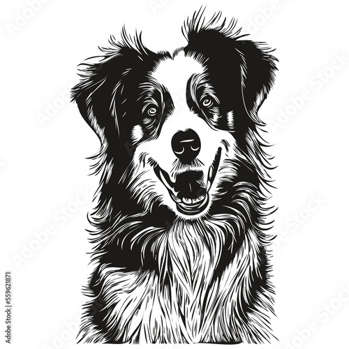 Australian Shepherd dog hand drawn vector line art drawing black and white logo pets illustration