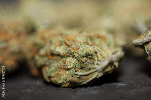 Medical marihuana buds close up background cannabis sativa super lemon haze big size high quality dope prints