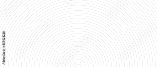 Circle lines pattern on white background. Circle lines pattern for backdrop, brochure, wallpaper template. Realistic lines with repeat circles texture. Simple geometric background, vector illustration © Marinko