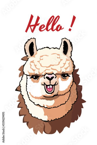 Llama cartoon alpaca. Lama animal vector isolated illustration. Cute funny digital art. Design for card, sticker , fabric textile, t shirt. Children, kid modern trendy style. Hello alpaca