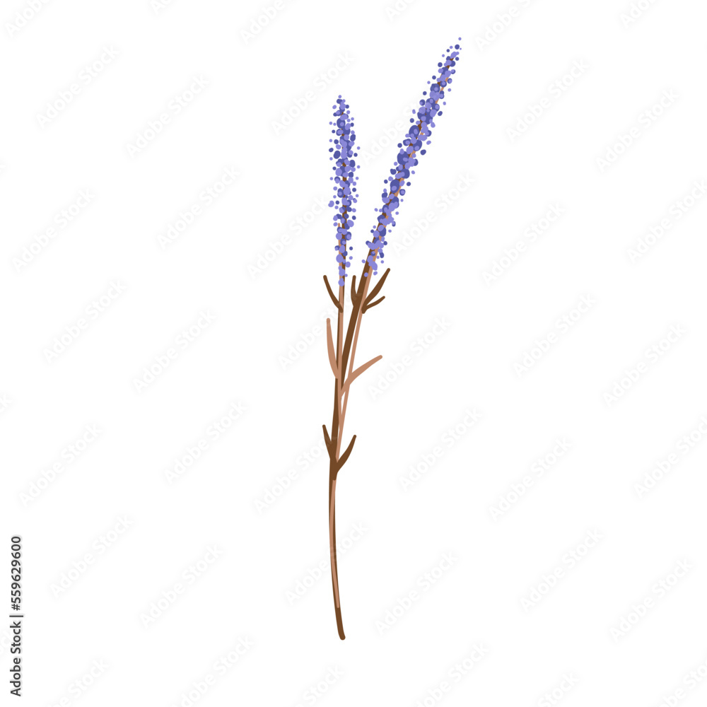 Field Flowers on Branch. Hand Drawn Field Flowers on Branch. Hand Drawn