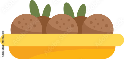 Cooking falafel icon flat vector. Fresh nutrition. Vegan pita isolated
