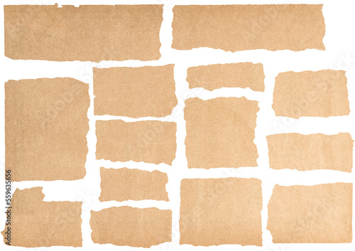 PNG ripped paper pieces isolated on transparent background. Pages cutouts