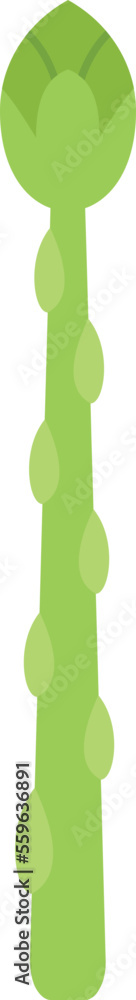 Salad asparagus icon flat vector. Plant bunch. Farm cooking isolated Salad asparagus icon flat vector. Plant bunch. Farm cooking isolated