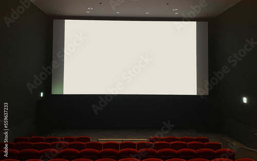 正面からみた映画館のスクリーン