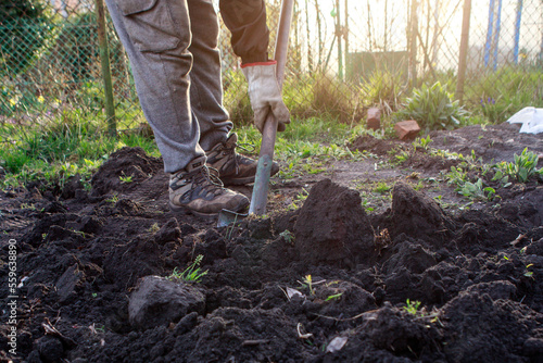 Canvas Print kopanie w ogrodzie, przekopanie działki