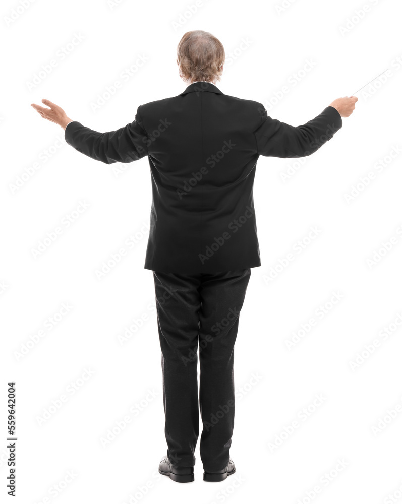 Professional conductor with baton on white background, back view Professional conductor with baton on white background, back view