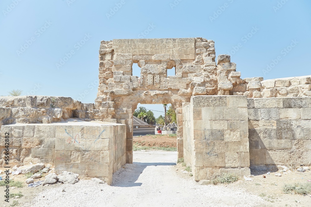 Fototapeta premium The Ancient Citadel Mound of Harran in Southeast Turkey