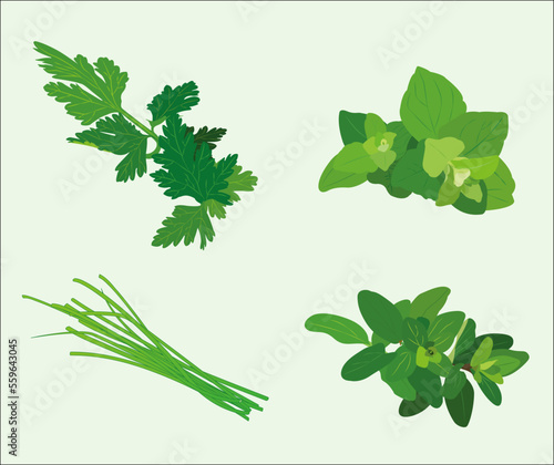 oregano parsley chives marjoram