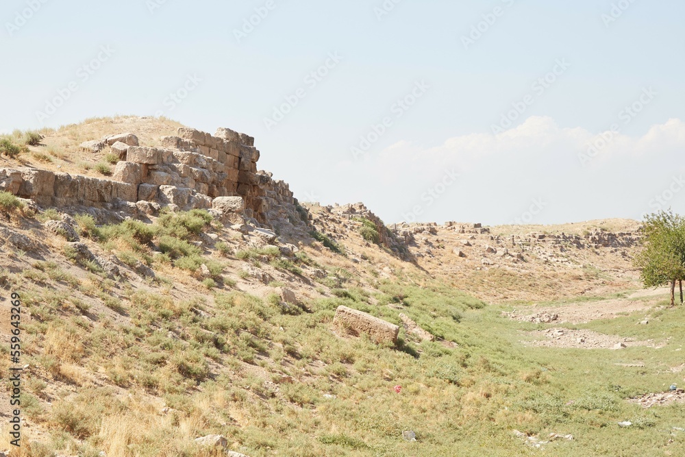 The Ancient Citadel Mound of Harran in Southeast Turkey The Ancient Citadel Mound of Harran in Southeast Turkey
