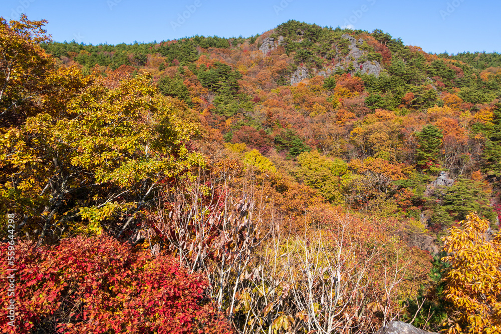 紅葉の霊山<福島県> 紅葉の霊山<福島県>
